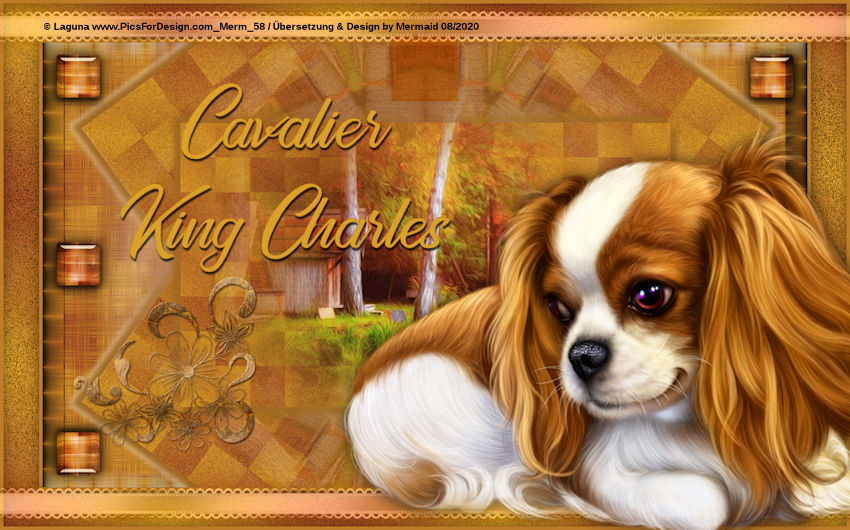Le Cavalier King Charles